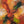 Painting “Autumn Dance”