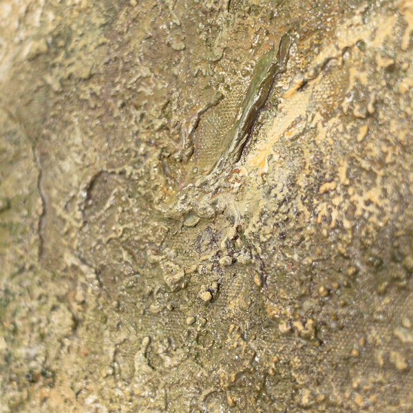 Painting “The Tree of Contemplation”