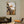 Abstract Wall Painting 