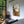 Abstract Wall Painting 