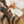 Abstract Wall Painting 