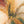 The painting “Flower Energy” — a textured abstraction in the shape of a flower