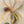 The painting “Flower Energy” — a textured abstraction in the shape of a flower