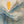 The painting “Dawn in the Clouds” depicts dawn over mountain peaks in shades of blue and gold