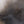 The painting “Foggy Morning”