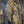 The painting 