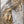 The painting 