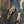 The painting 