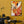 The painting 