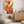 The painting 