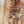 The painting 