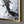 The painting 