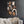 The painting 