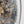 The painting 