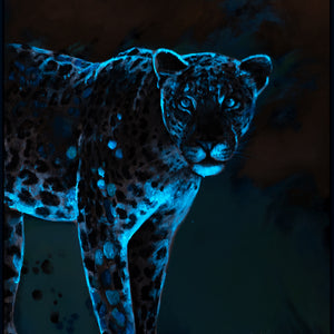 glow in the dark artwork animal home decor