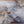 The painting 