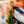 The painting 