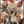 The painting 