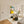 The painting 