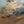 The painting 