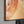 The painting 
