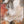 The painting 