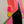 The painting 