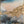 The painting 