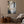 The painting 