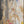 The painting 