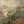 The painting 