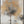 The painting 