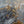 The painting 
