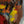 The painting 