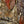 The painting 
