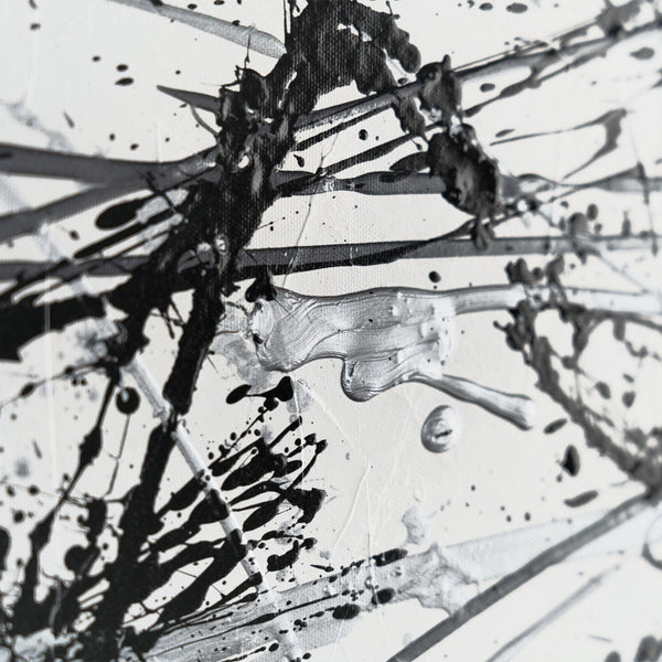 The painting "Chaos Control" is a monochrome abstraction in the style of action painting