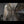 The painting 