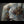 The painting 