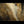 The painting 