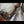 The painting 