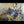 The painting 