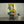 The painting 